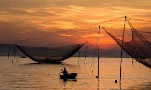 Experience Hoi An Old Town Like a Local