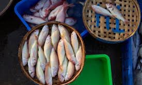 Private Tours in Da Nang City with Local Guides