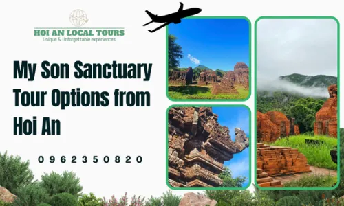 My Son Sanctuary Tour Options from Hoi An
