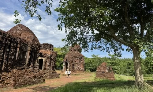 Private My Son sanctuary Early Morning Trip