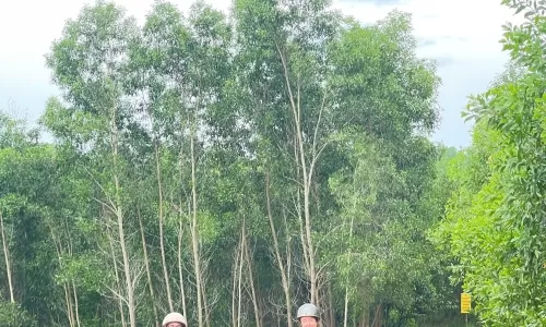 Cheap Private Tours from Da Nang to Hoi An