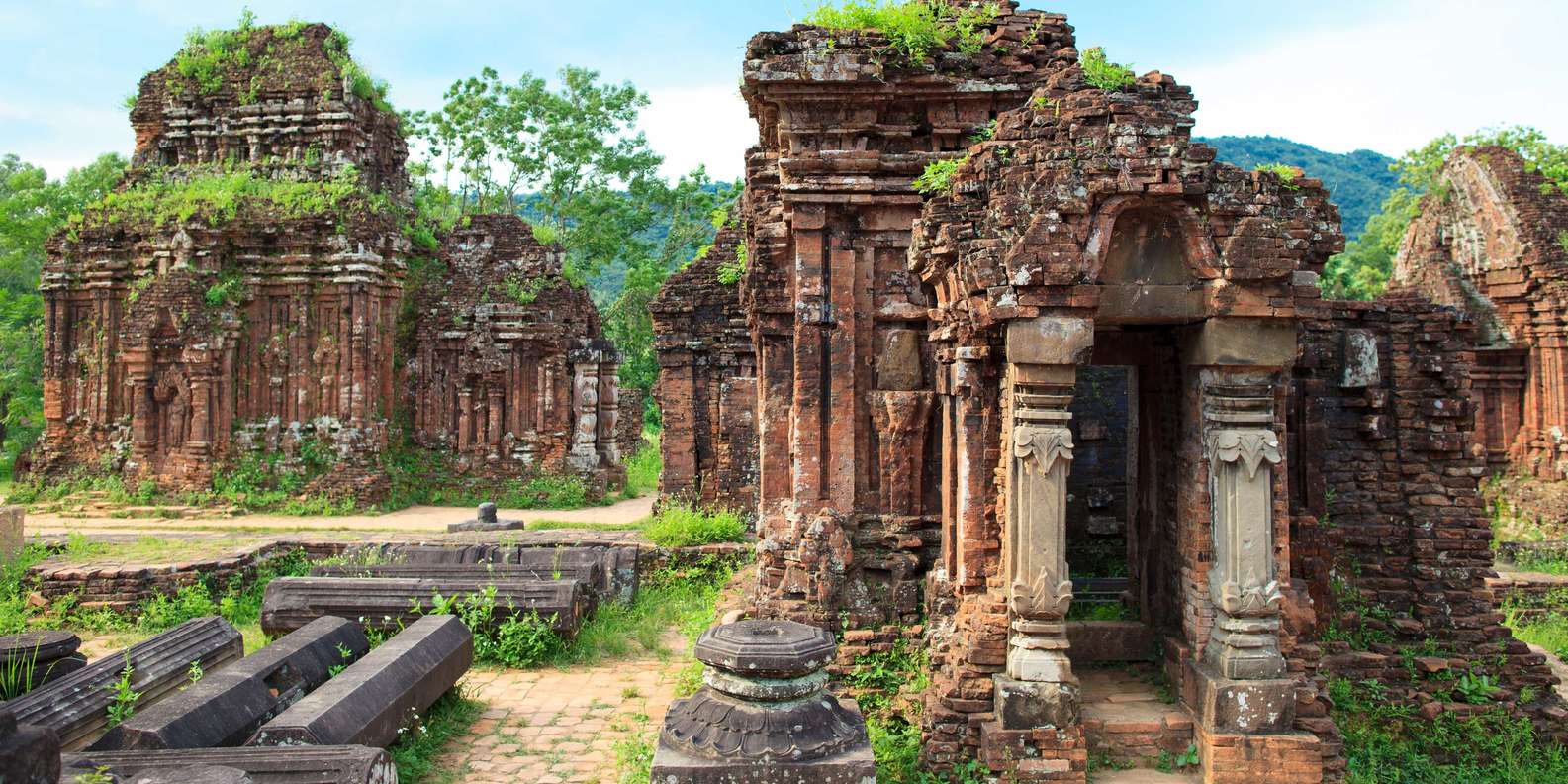 The Enduring Legacy of My Son