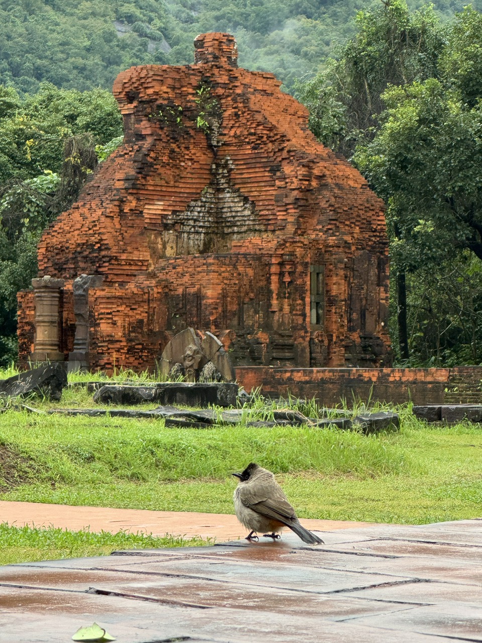 My Son Sanctuary Tour Cost and Packages