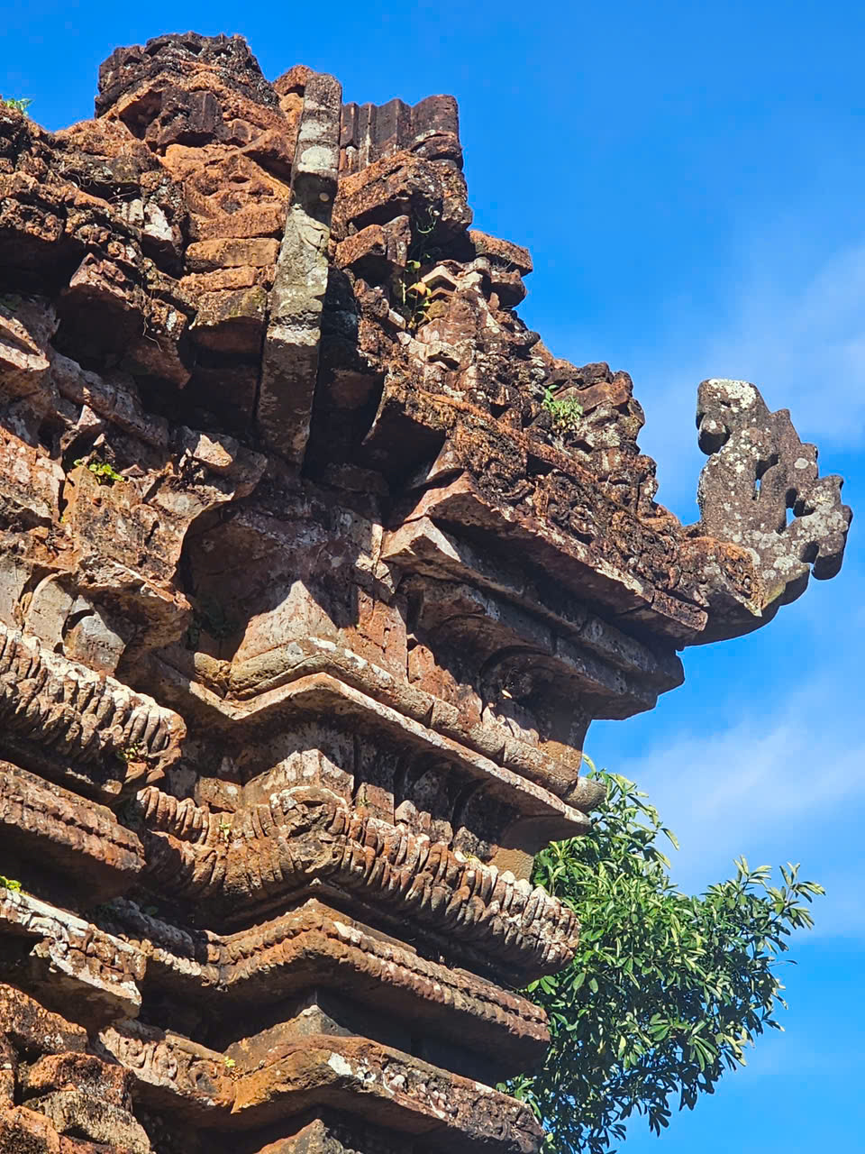 Planning Your Visit: Daily Tours and Package Tours