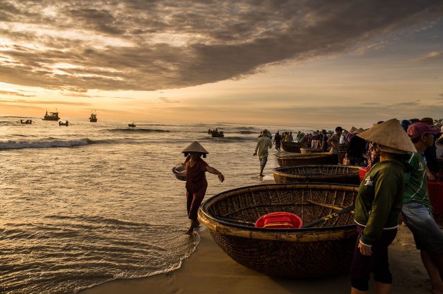 Explore Hoi An Local Life and Fish Market at Sunrise